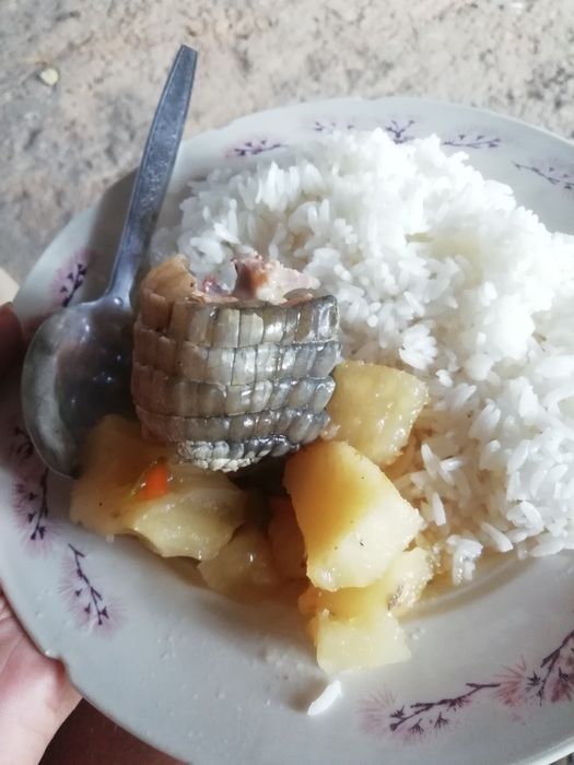 Блюдо из черепахи — кухня Амазонки