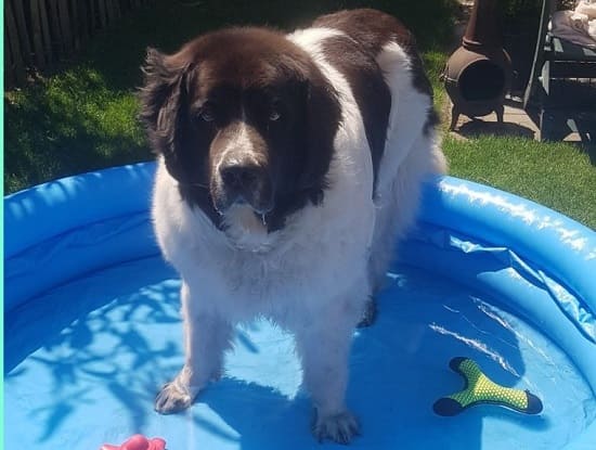 Страна просмотра Страна просмотра