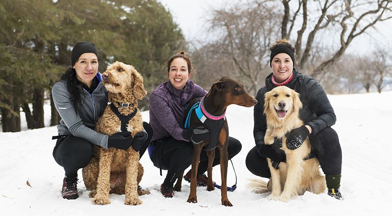 Виды собак для каникросса