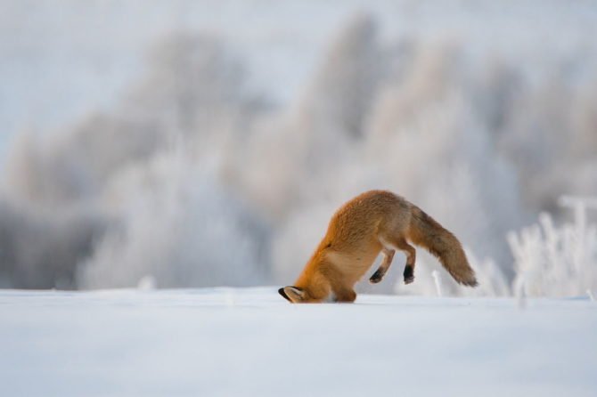 Зимняя охота за объёмом