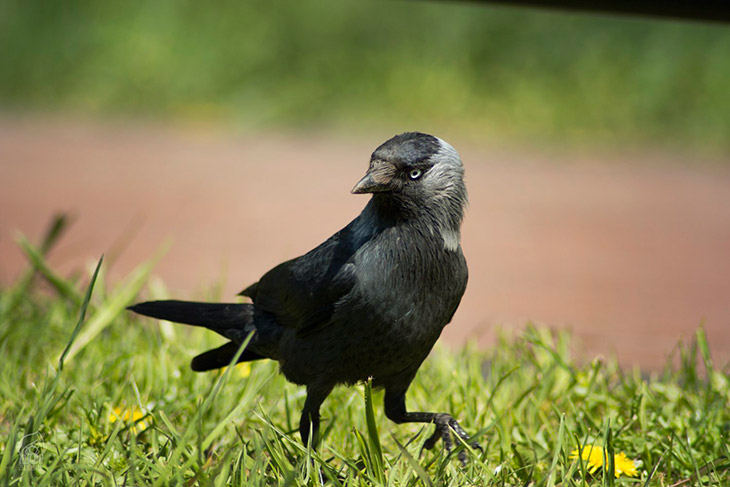 Стиль жизни
