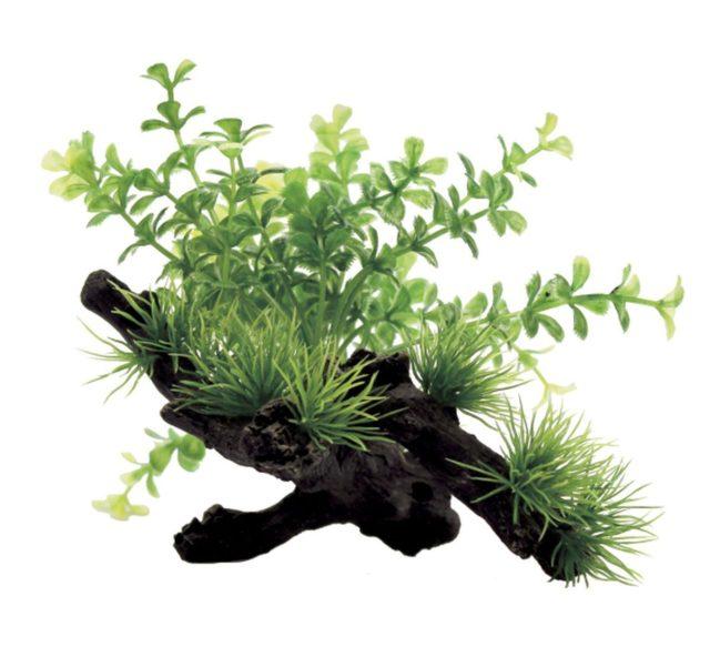Коряга с растениями для аквариума Коряга с растениями для аквариума