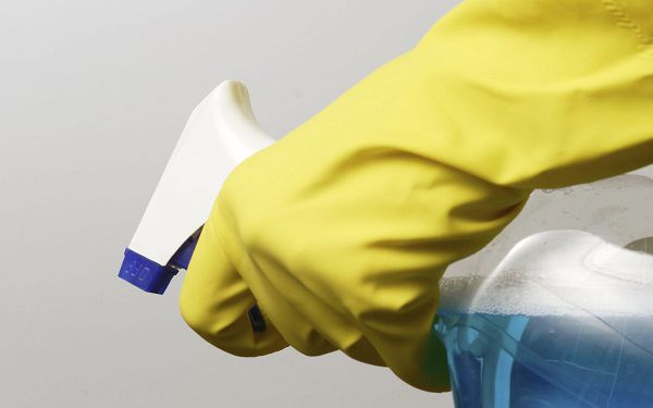 Спрей от клопов-вонючек