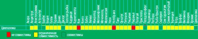 Таблица совместимости цихлазомы северум Таблица совместимости цихлазомы северум