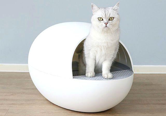 Выбор наполнителя для кошачьего туалета