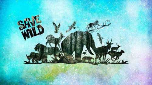 Красная книга России -  примеры животных и растений