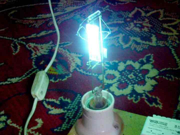 излучения могут причинить вред кошкиным глазам.