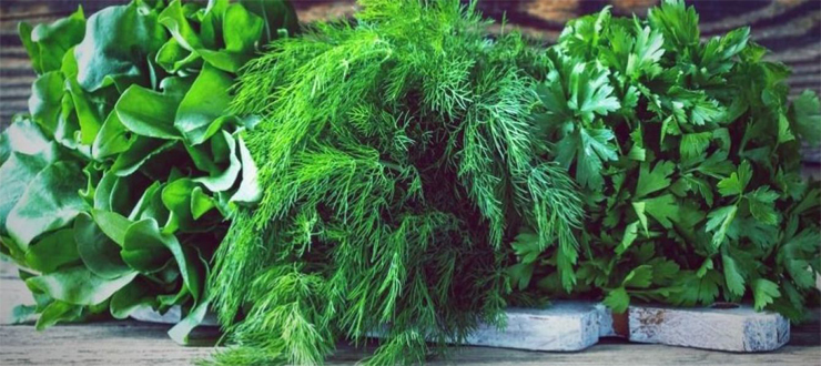 О птице жаворонке: где живет и зимует, чем питается, польза для человека, интересные факты