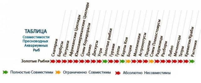 Таблица совместимости золотых рыбок
