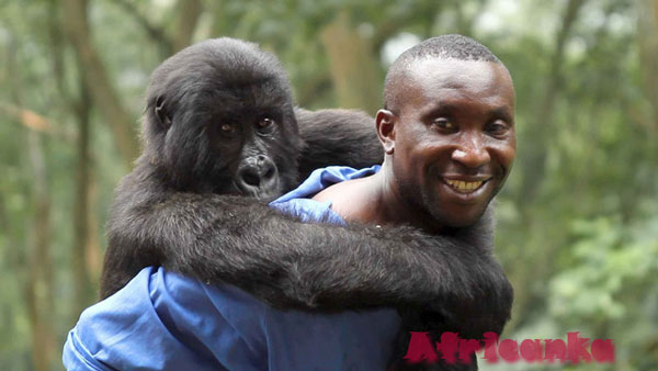 Национальный парк Вирунга, ДРК