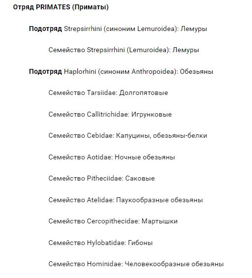 Виды обезьян, разновидности обезьян