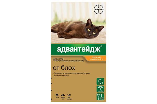 Преимущество (Байер)