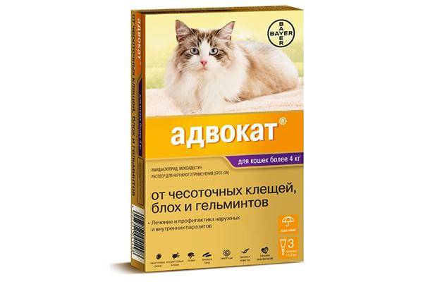 Юрист (Байер)