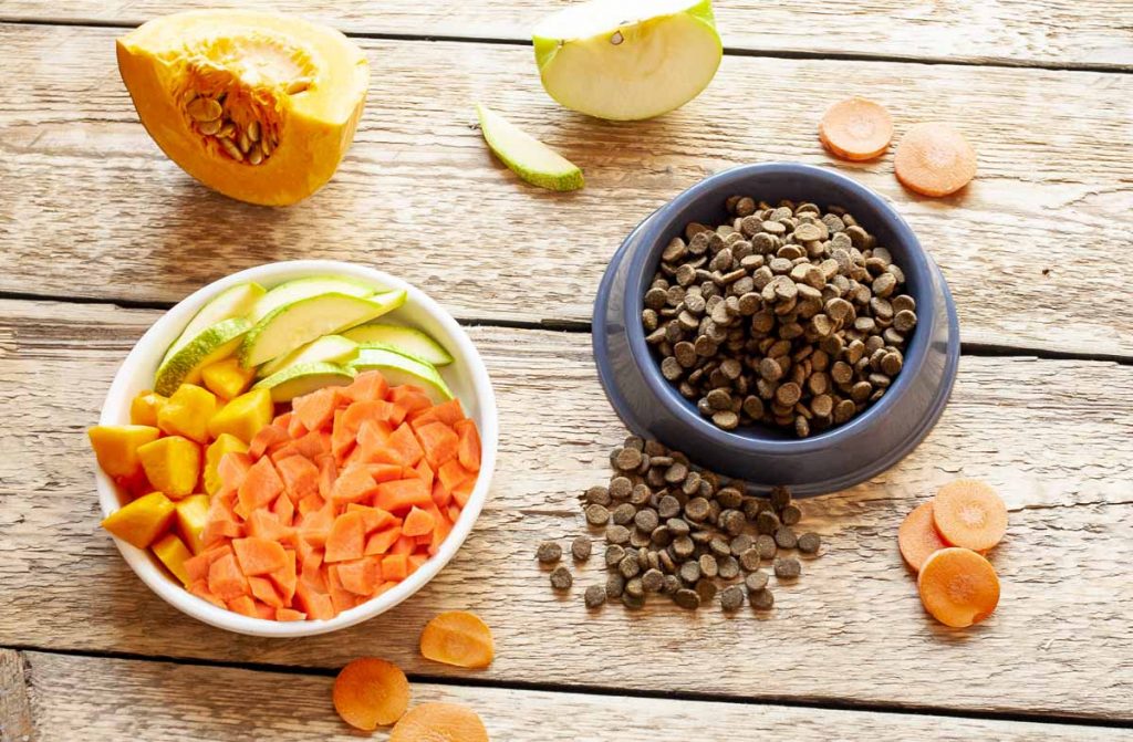 Здоровый рацион бернской овчарки