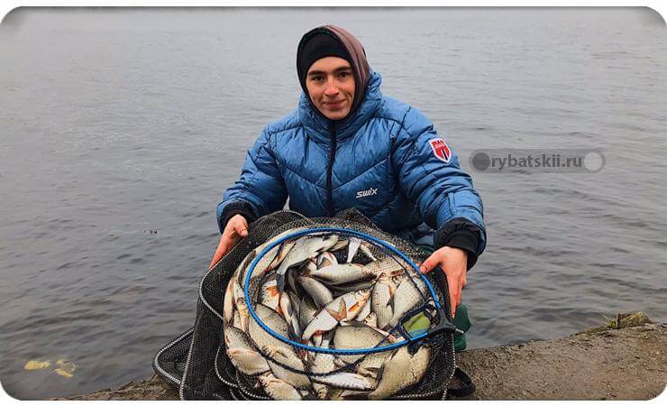 Рыбалка с фидером на Оке