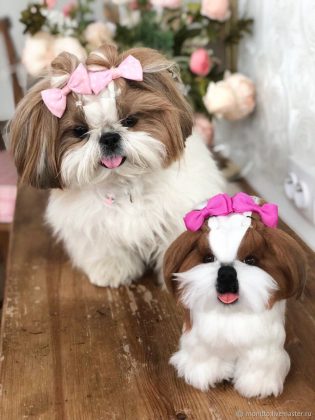 Породы самых маленьких собак