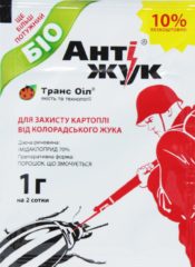 Жук-точильщик: чем опасен, как выглядит и методы его уничтожения