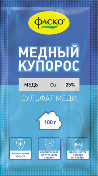 Жук-точильщик: чем опасен, как выглядит и методы его уничтожения
