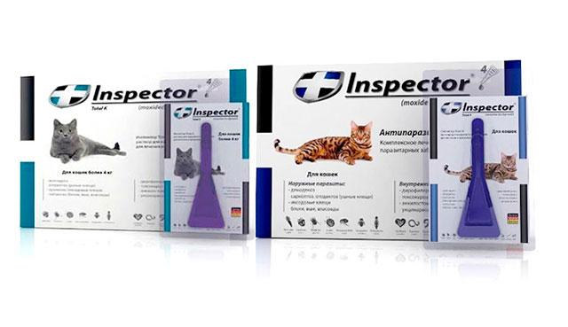 Инспектор всего