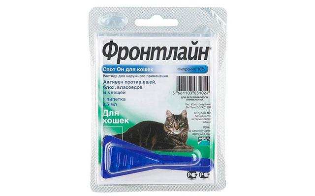 Место на передовой