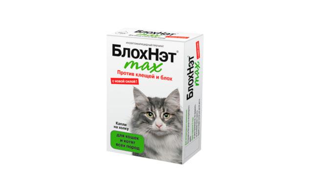 Чистая макс. Блоха