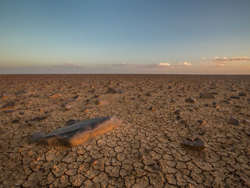 Тайпан: образ жизни и среда обитания змеи