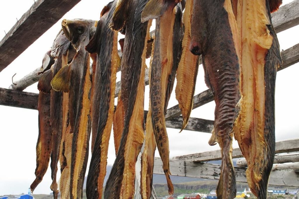 Копченый сом