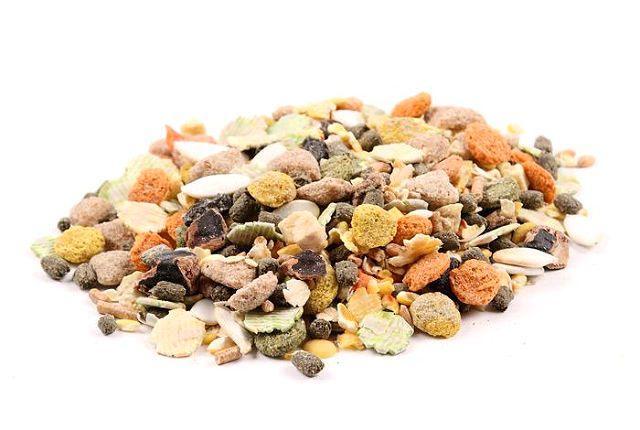 Корм для песчанок - Готовая смесь