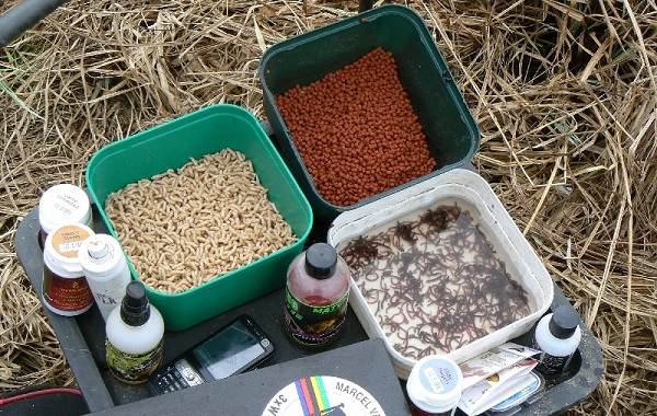 Где-как-на-что-и-в-какое-время-года-ловить-рыбу-уклейку-4