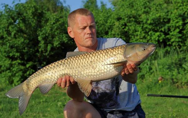 15-лучших мест для рыбалки в Краснодарском крае-платно-бесплатно-11