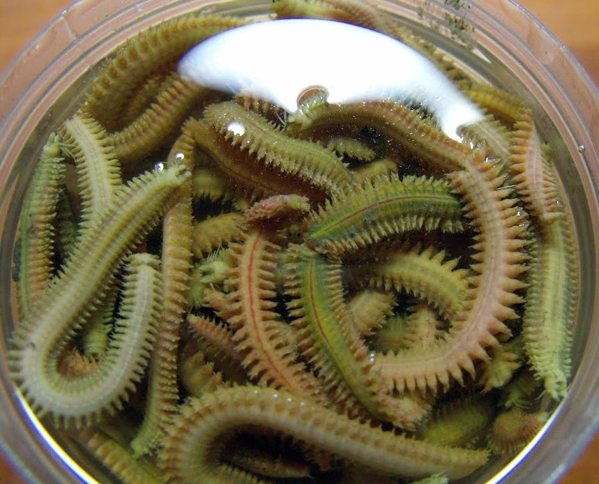 Устье змеится вниз