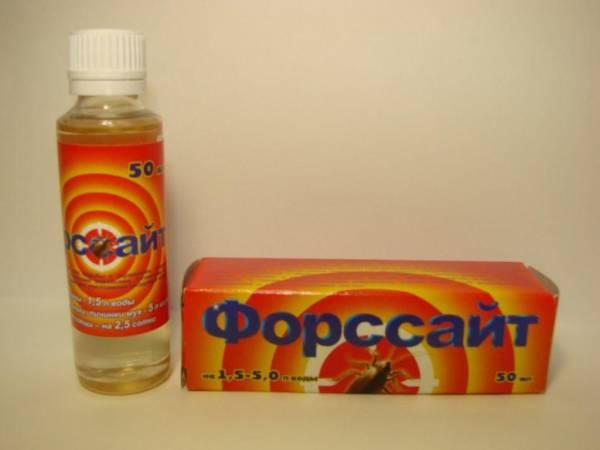 Чем обработать квартиру от блох Чем обработать квартиру от блох