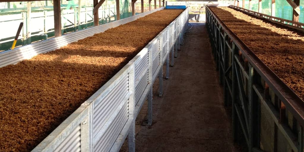 разведение червей в промышленных масштабах ферма для разведения червей