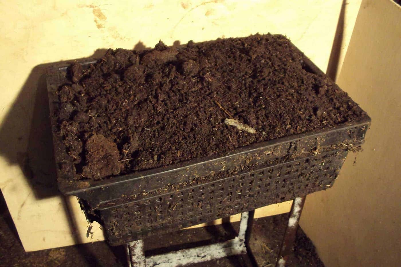 ящик с землей для разведения червя ящик для разведения червя