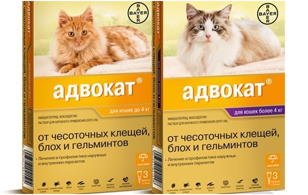 15 лучших капель для протирки от блох для кошек-26