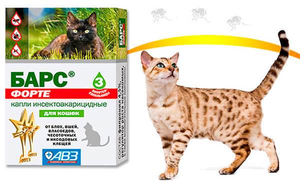 15 лучших капель для протирания от блох для кошек-3