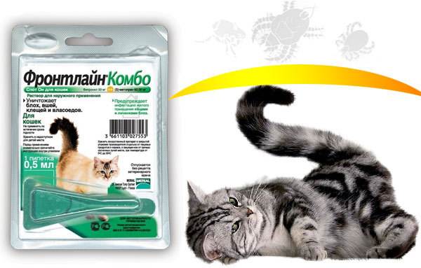 15 лучших капель для протирки от блох для кошек