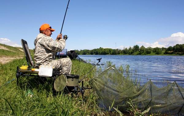 15-лучших-рыболовных-мест-Псковской-области-Бесплатные-и-платные-8