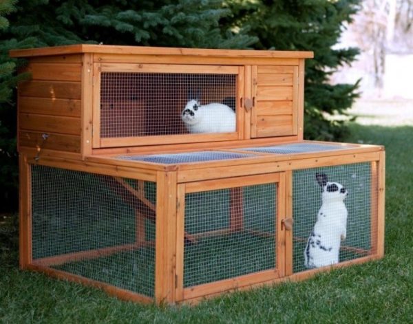 клетка для кролика