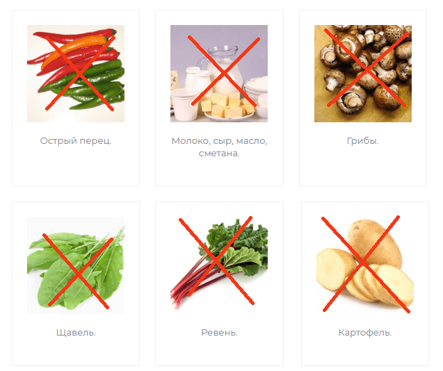 Попугай корелла: уход и содержание, приручение, разведение