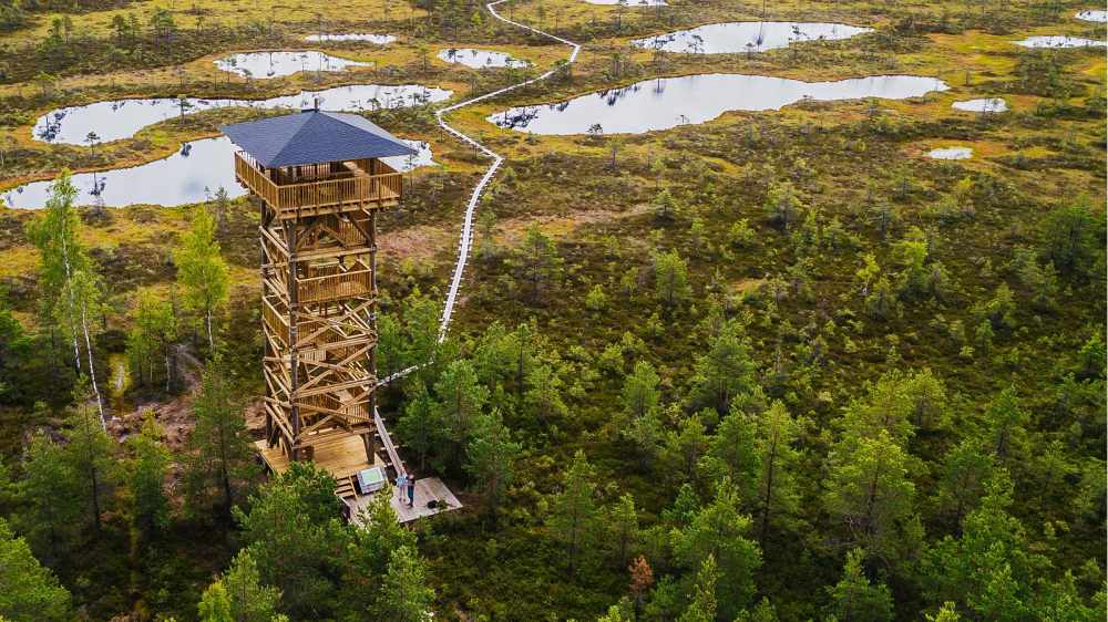 Болото Мукри, Эстония