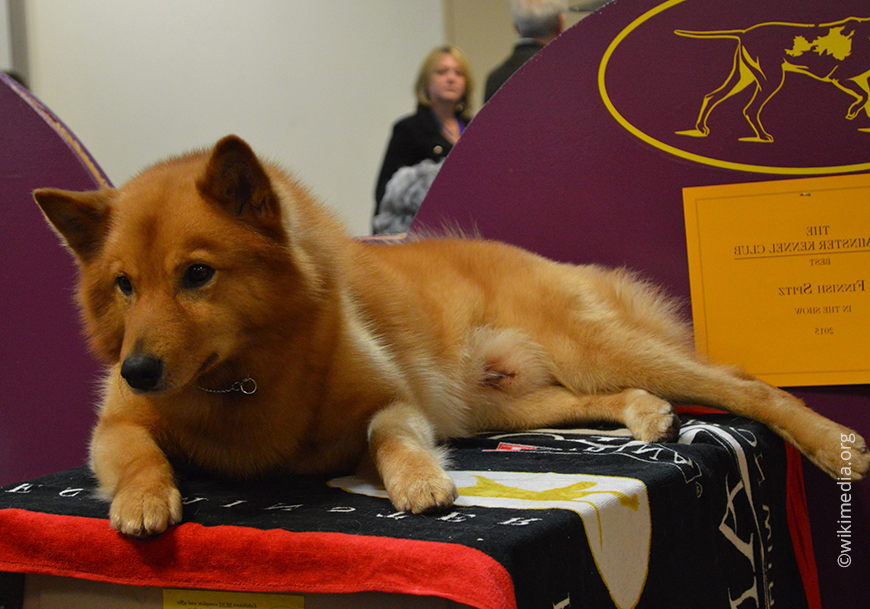 Финский наконечник