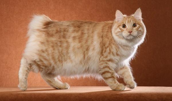 Красный цвет