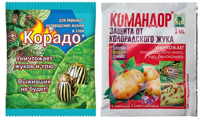 Эффективные средства против колорадского жука в огороде