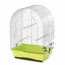 Монах - отличный вид попугаев