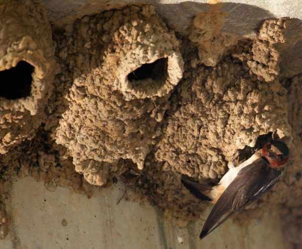 Он построен недалеко от соседей