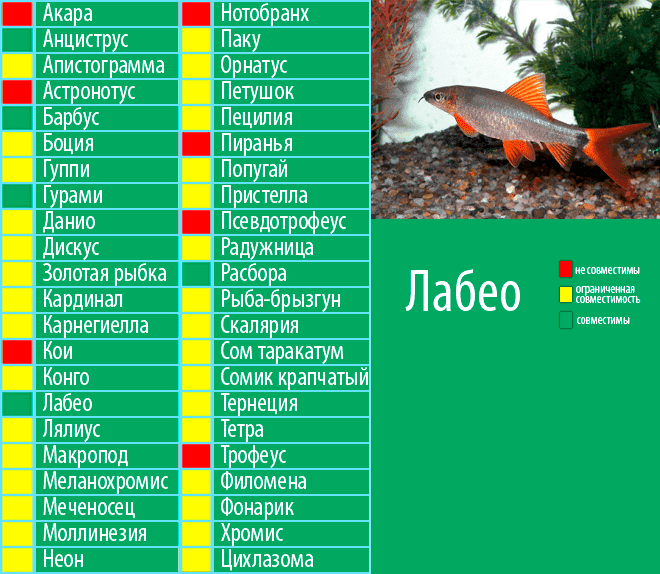 лаборатория