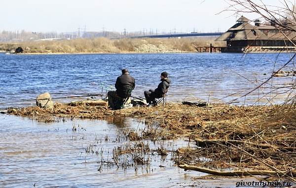Лайфхаки-о-рыбалке-от-бывалого-рыбака-15