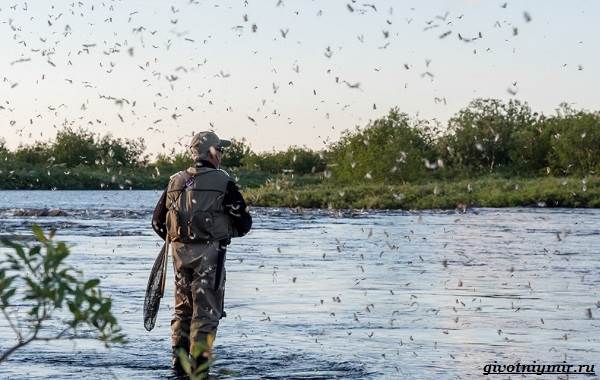 Лайфхаки-о-рыбалке-от-бывалого-рыбака-2