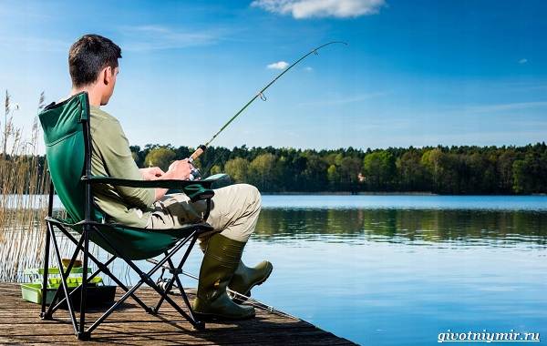 Ловля-жереха-различными-способами-4